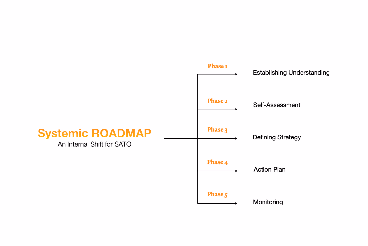 The systemic roadmap's five phases in order: establishing understanding, self-assessment, defining strategy, action plan and monitoring